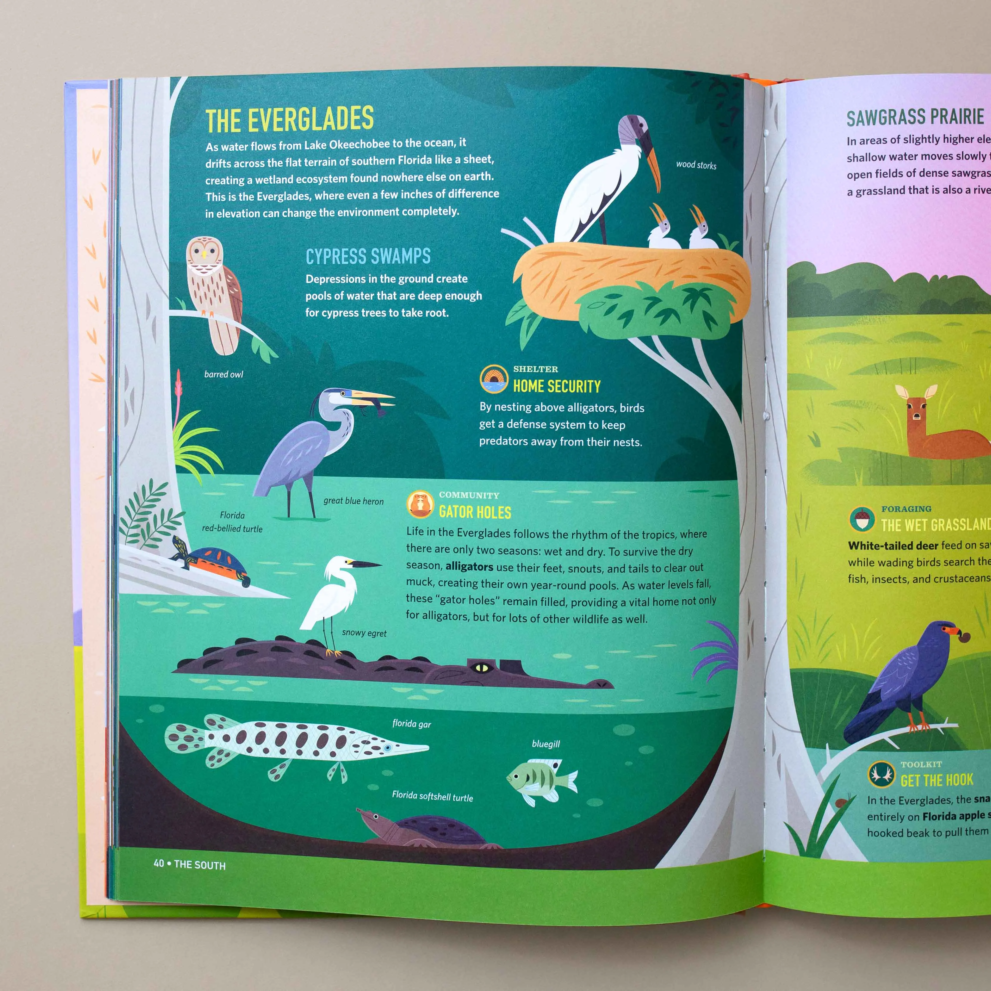 Wilds of the United States Book